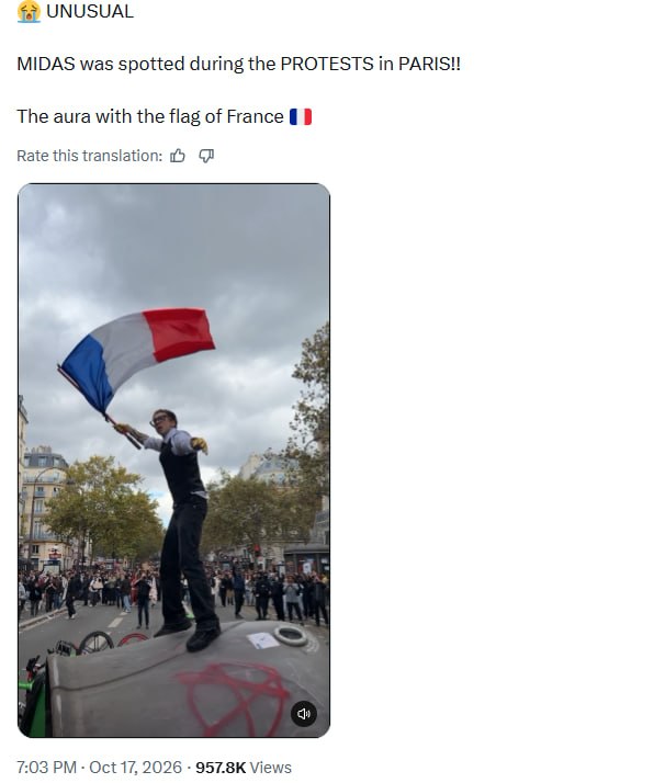 Man in a vest waving a French flag while standing on a car during protests